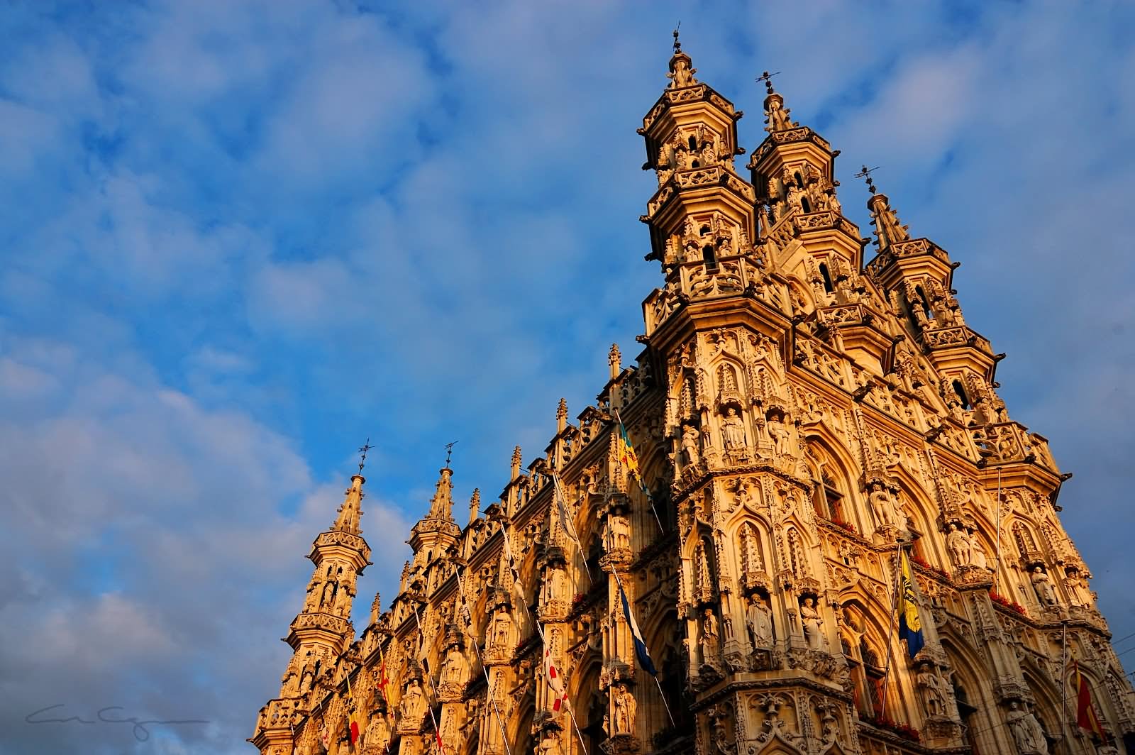 Top Of The Leuven Town Hall During Sunset