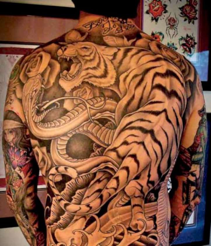 Awesome Tiger With Snake Tattoo On Man Full Back