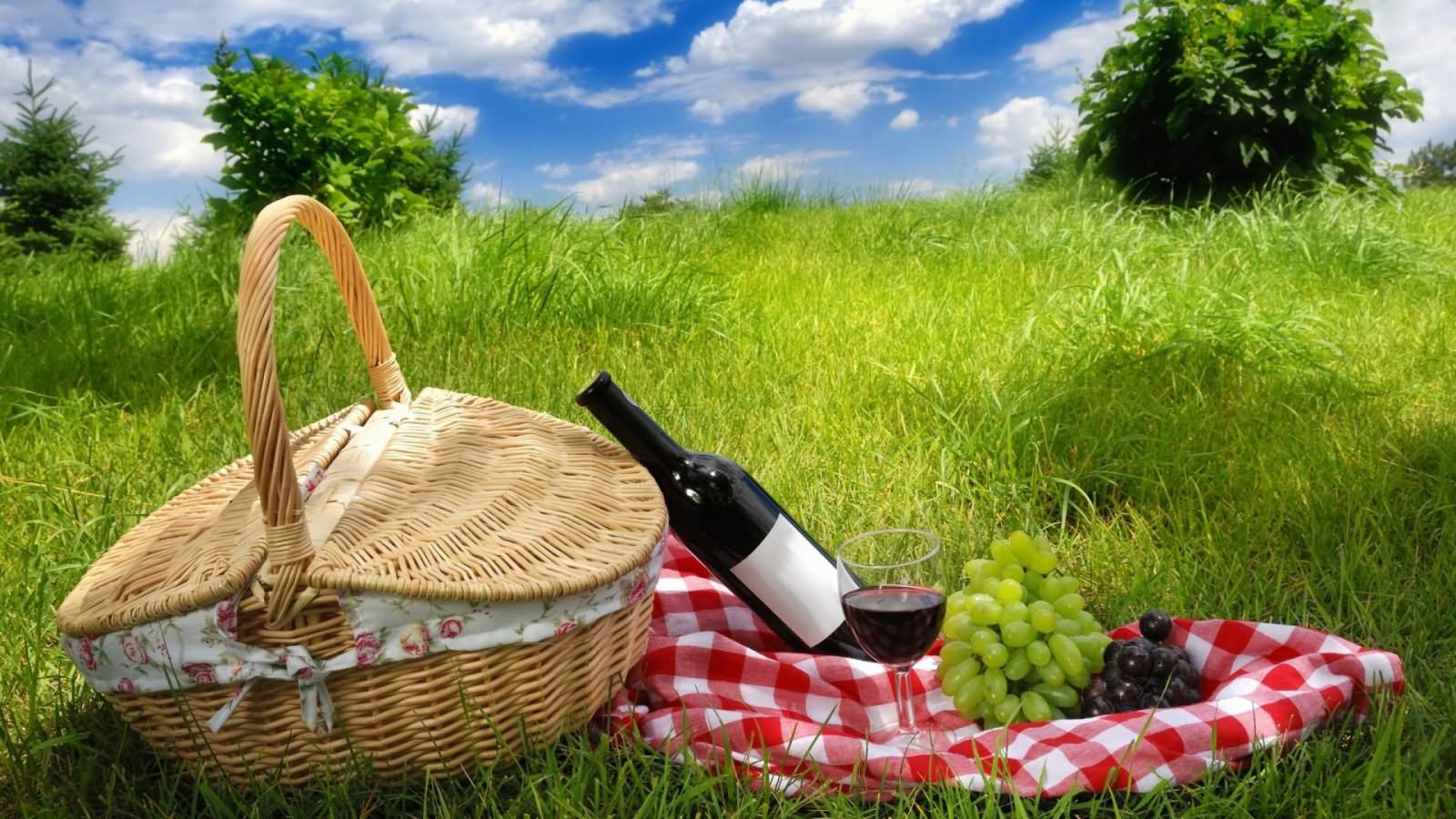 Happy International Picnic Day Picture