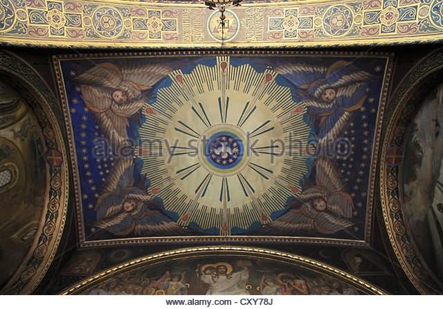 Roof Of St Volodymyr's Cathedral Inside Picture