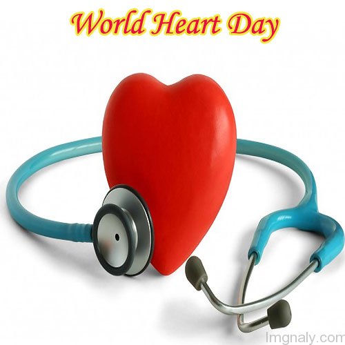 World Heart Day Red Heart And Stethoscope Picture