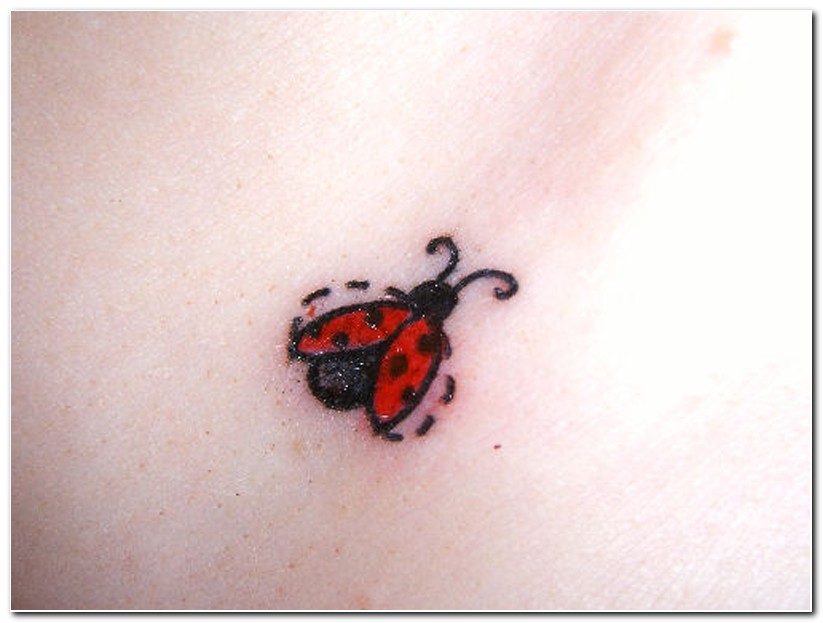 Flying Ladybug Tattoo Idea