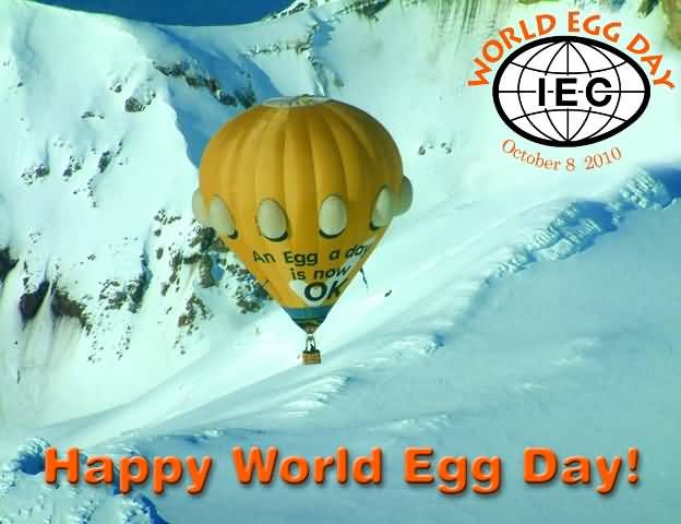 An Egg A Day Is Now Ok Happy World Egg Day