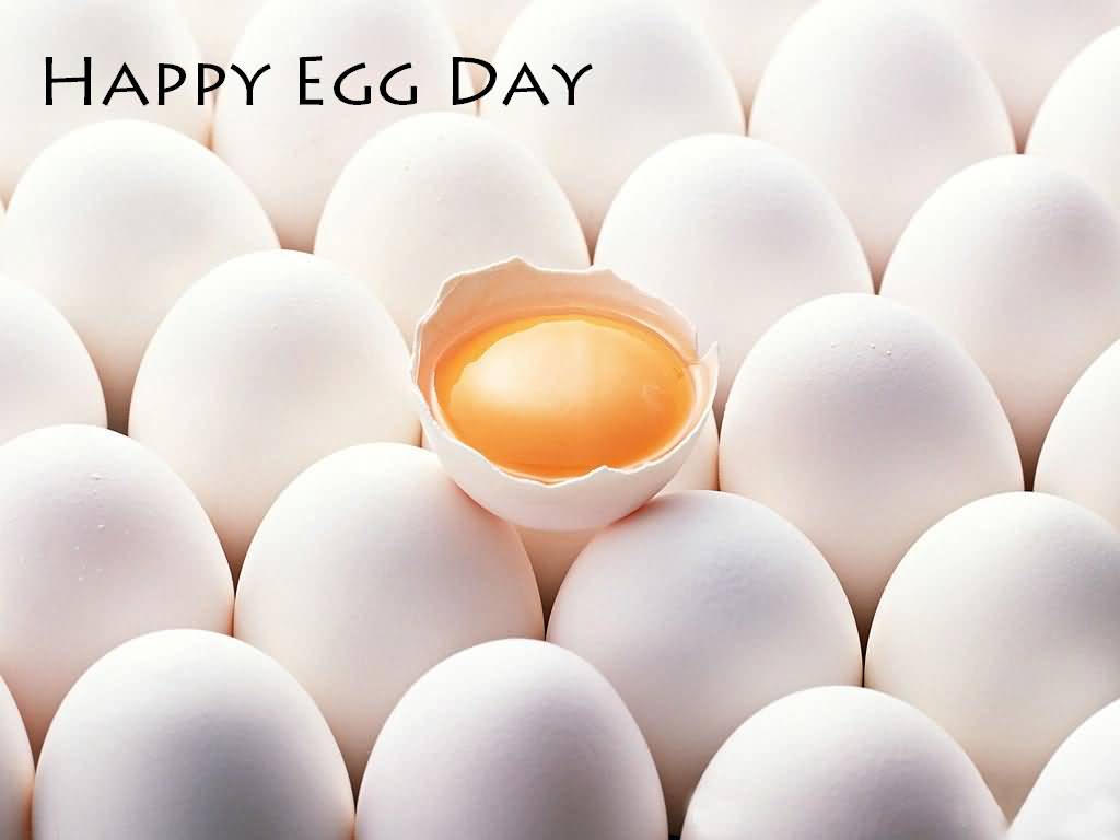 Happy World Egg Day Image Picture