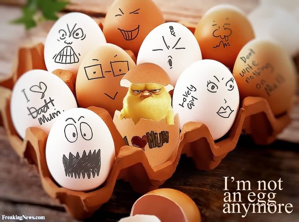 I'm Not An Egg Anymore World Egg Day Egg Sketches Picture