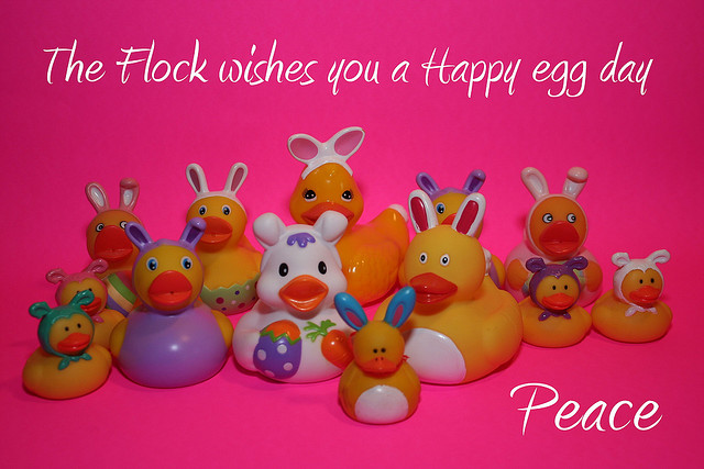 The Flock Wishes You A Happy Egg Day Peace