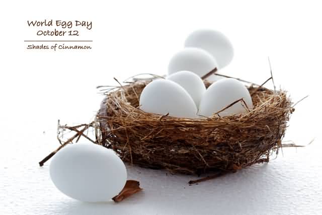 World Egg Day October 22 Eggs In Nest Picture