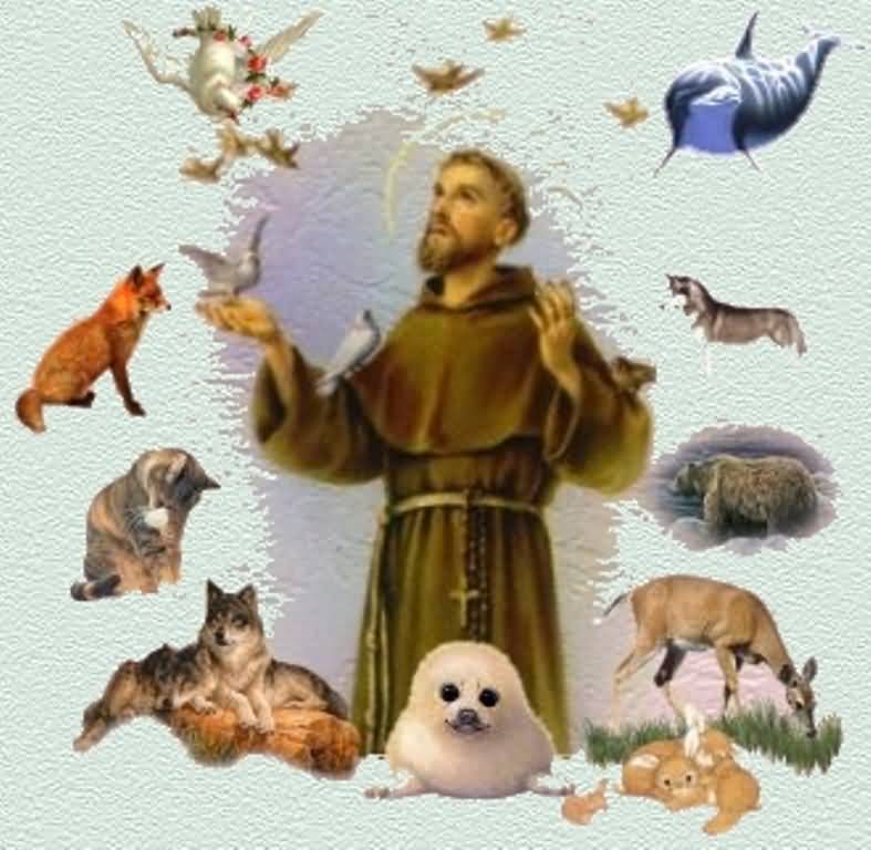 St. Francis Of Assisi Happy St. Francis Day