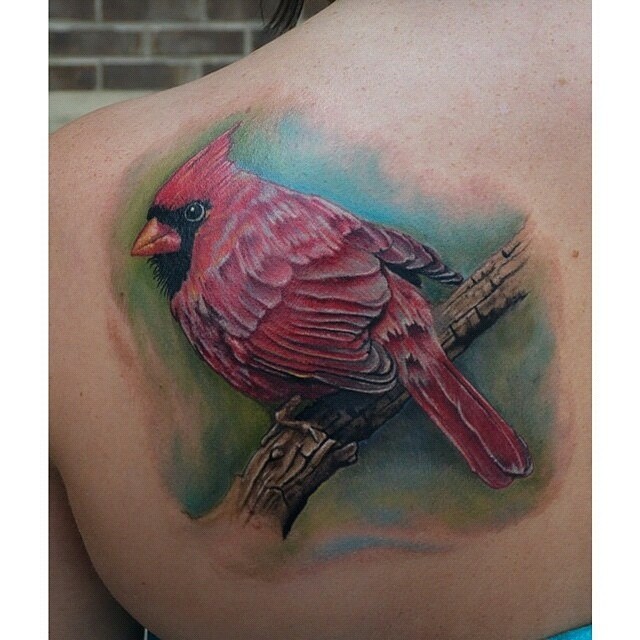 Beautiful Cardinal Tattoo On Left Back Shoulder by Eric Guidry