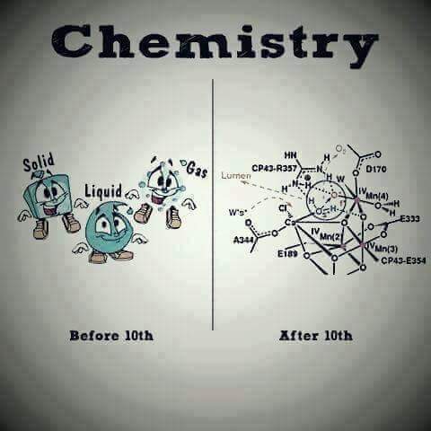 Funny Difference in School and College Life