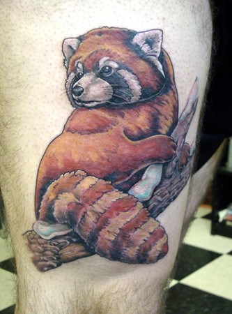 Red Panda Tattoo On Right Thigh