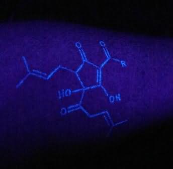 Radiant Black Light Tattoo