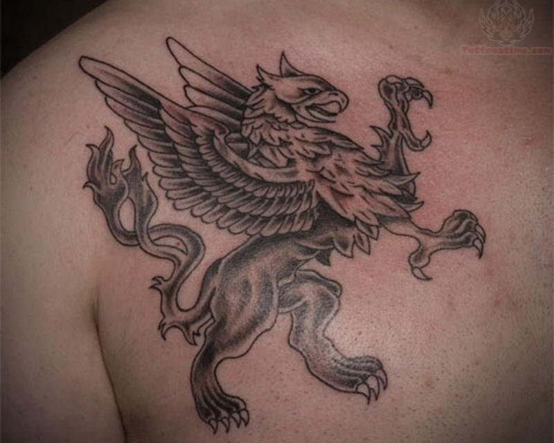 snake tattoo eye under Chest  Men Tattoos Griffin For 11