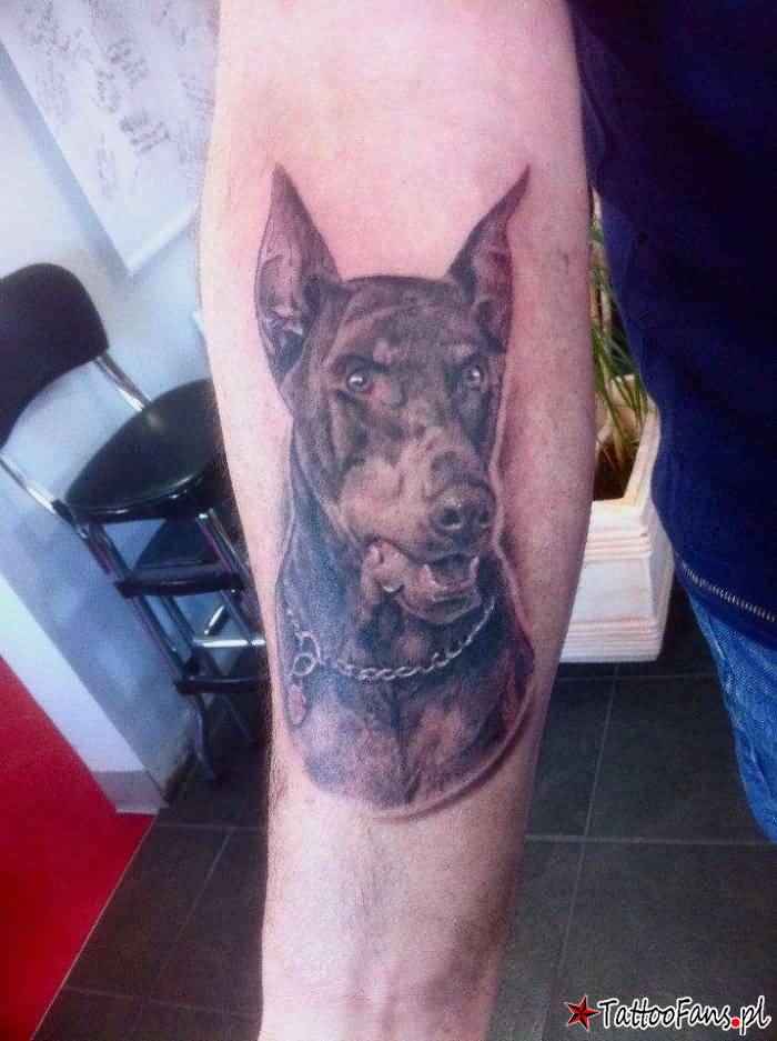 11+ Doberman Tattoos On Forearm