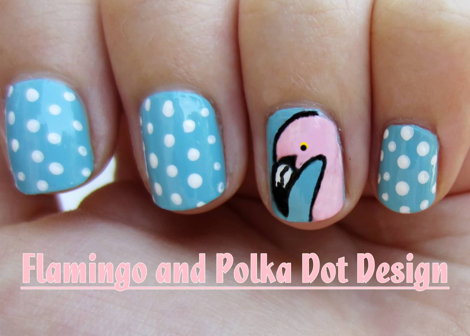 Flamingo And Polka Dot Design