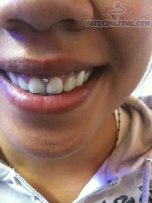 Silver Stud Gum Piercing