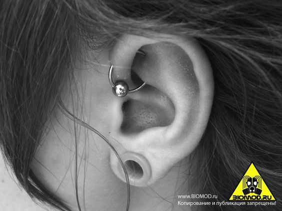 Gauge Ear Lobe And UFO Piercing With Bead Ring