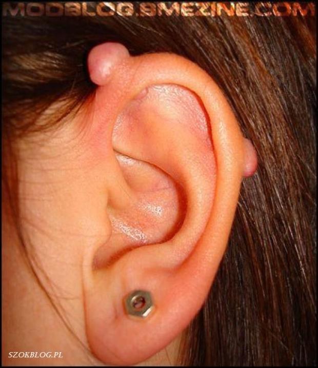 Left Ear Lobe And Scaffold Piercing