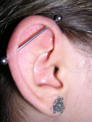 Right Ear Lobe And Scaffold Piercing