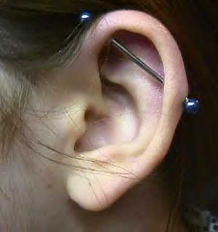 Scaffold Piercing On Girl Left Ear