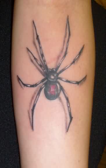 Attractive 3D Latrodectus Tattoo On Arm