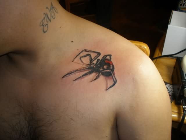 Attractive Latrodectus Tattoo On Left Collarbone