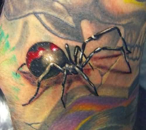 Awesome Colored Latrodectus Tattoo