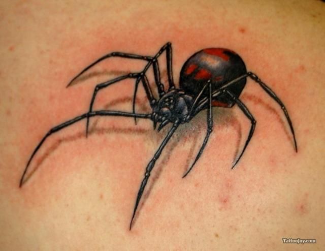 Black Widow Latrodectus Tattoo