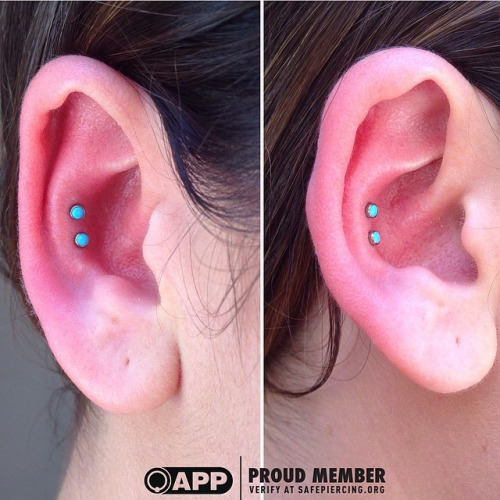 Blue Studs Dual Conch Piercing