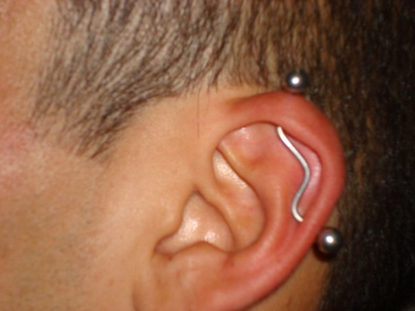 Conch To Helix Custom Industrial Piercing