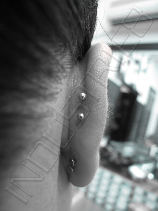 Dual Conch Piercing With Silver Studs