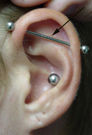 Inner Conch And Custom Industrial Piercing Picture