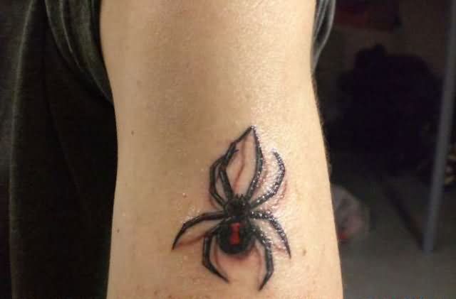 Nice Latrodectus Tattoo On Half Sleeve