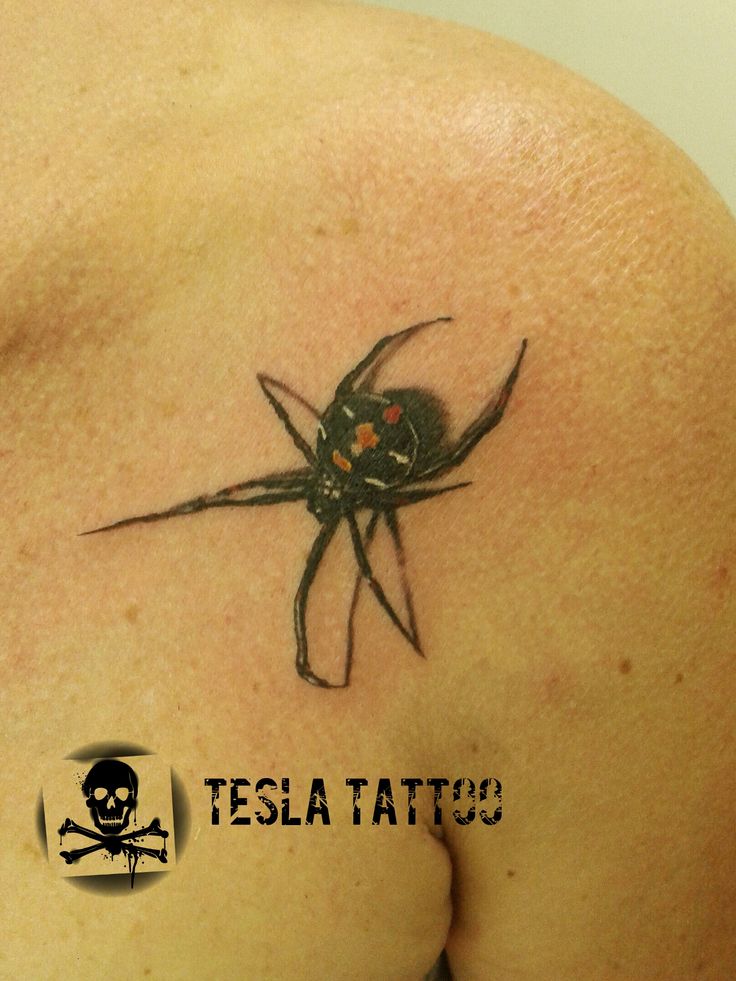 Realistic Widow Latrodectus Tattoo On Left Shoulder