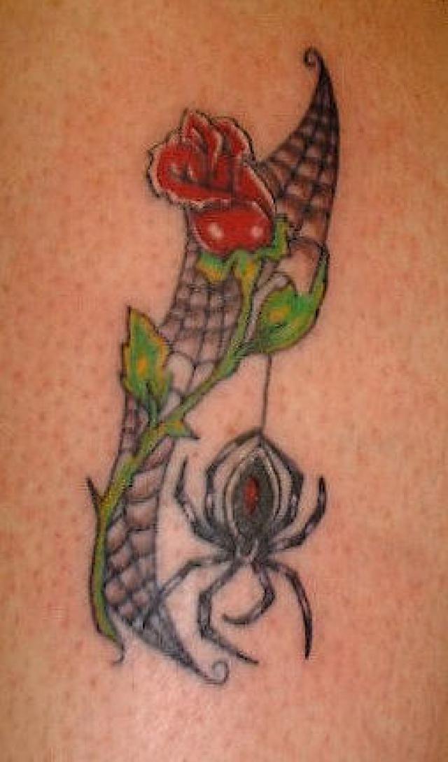 Red Rose And Latrodectus Tattoo