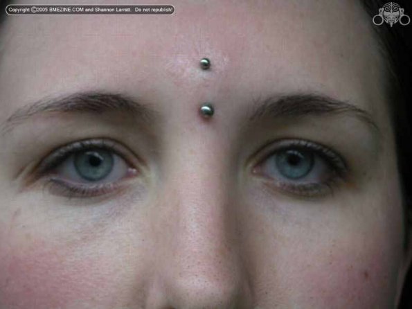 Vertical Silver Barbell Earl Piercing Idea