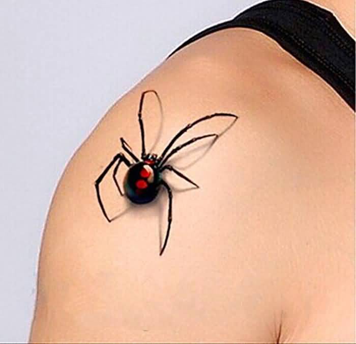 Wonderful Realistic Latrodectus Tattoo On Right Upper Shoulder