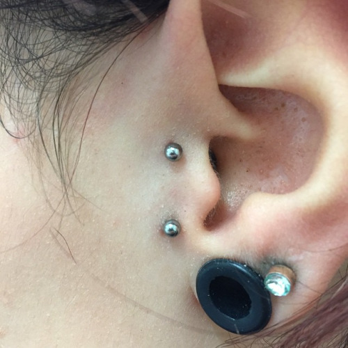 Black Gauge Lobe And Surface Tragus Piercing