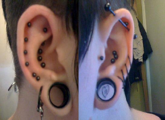 Black Gauge Stretched Lobe Piercings