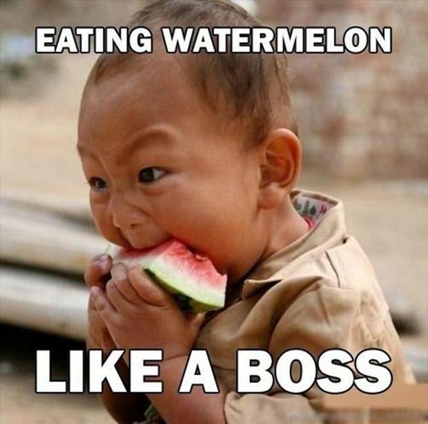 Funny Whatsapp Picture Boy Eating Watermelon