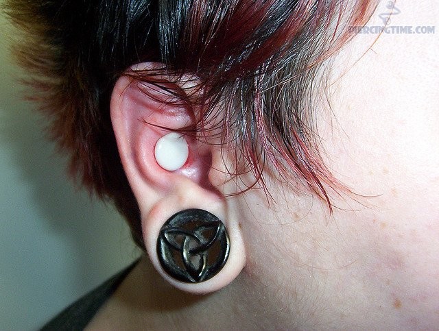 Inner Conch And Stretched Lobe Piercing