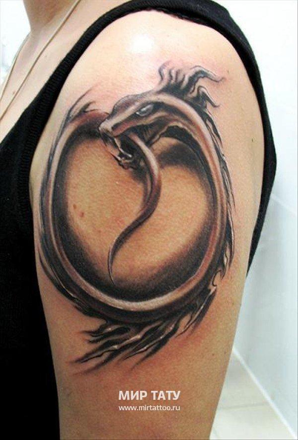 Realistic Grey Dragon Bitting Its Own Tail Tattoo On Left Shoulder