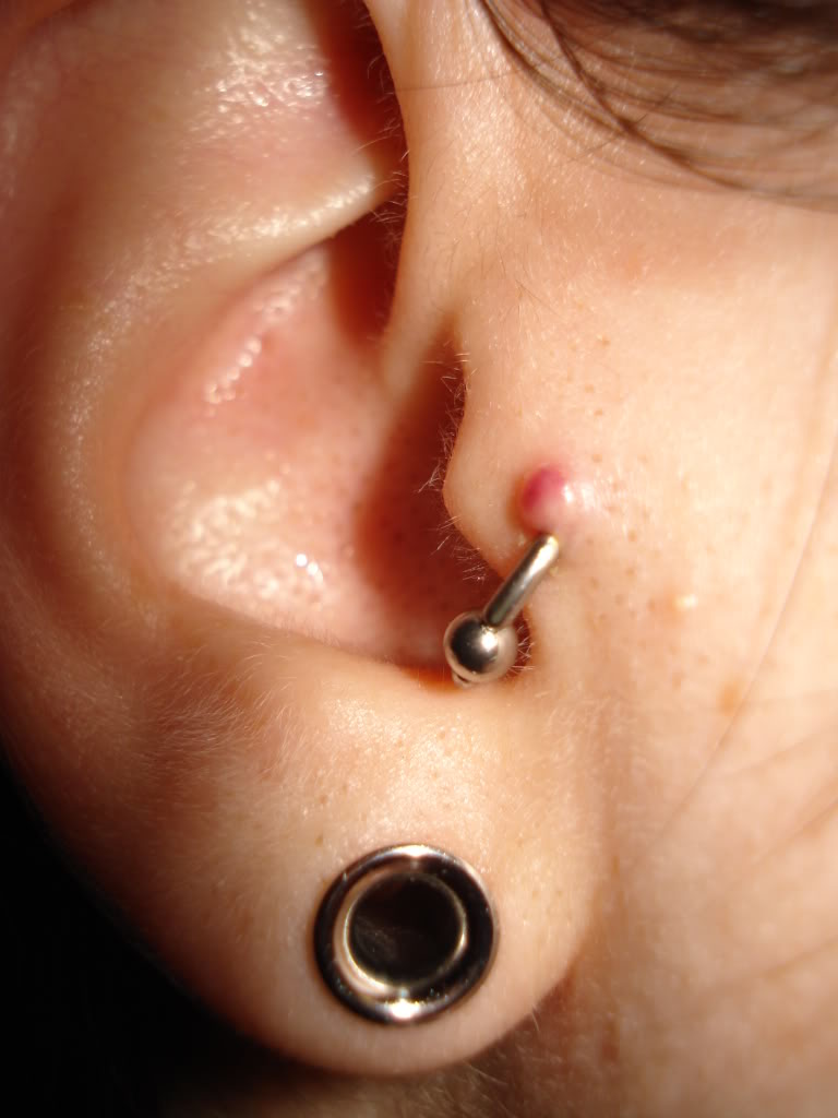 Tragus And Small Stretched Lobe Piercing