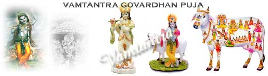 Vamtantra Govardhan Puja Header Image