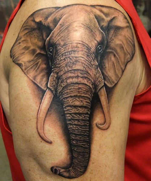 Black And Grey 3D Elephant Head Tattoo On Right Shoulder