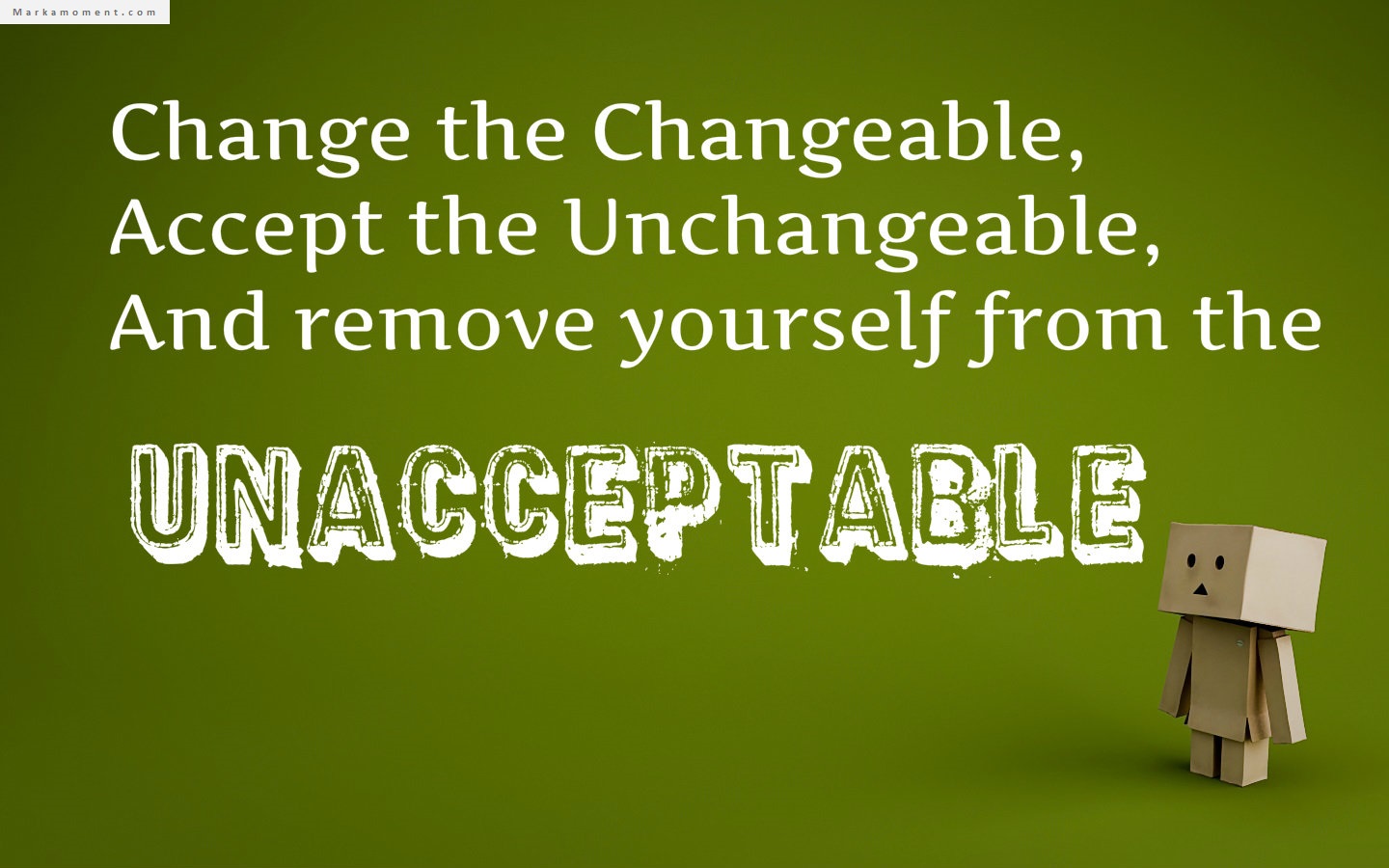 Change the changeable, accept the unchangeable, and remove yourself from the unacceptable. Denis Waitley