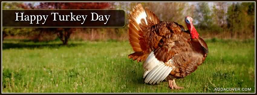 Happy Turkey Day 2016 Facebook Cover Picture