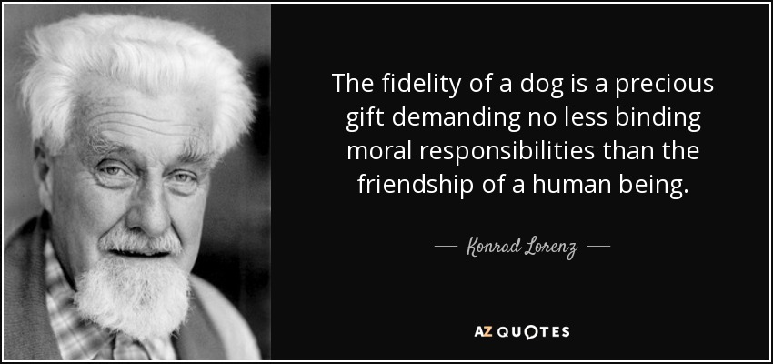 The fidelity of a dog is a precious gift demanding no less binding moral responsibilities... Konrad Lorenz