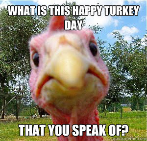 What Is This Happy Turkey Day That You Speak Of Meme Picture