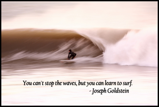 You can't stop the waves, but you can learn to surf. Joseph Goldstein